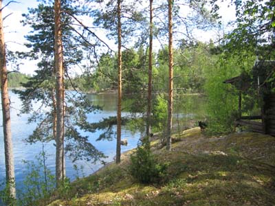 kuva